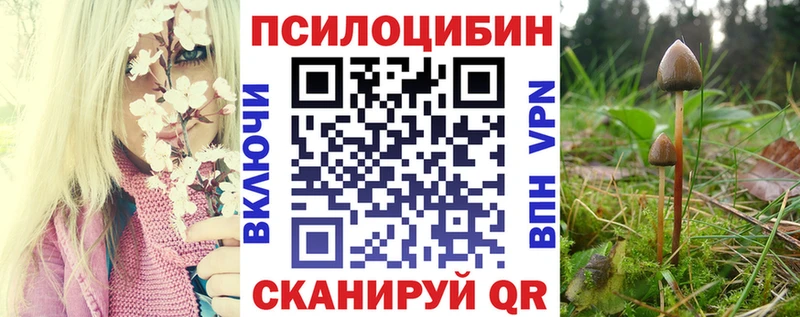 наркотики  Ельня  Галлюциногенные грибы мицелий 